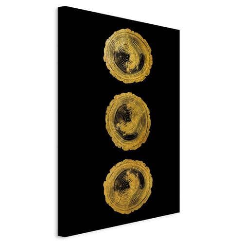 Картина на полотні Złote sęki 80×120 см, стандартне полотно