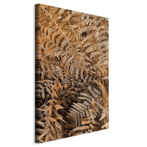 Leinwandbild Tajemnicza paproć 60×90 cm, Standardleinwand