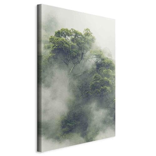Obraz na płótnie Mglista Amazonia 80×120 cm, płótno standard