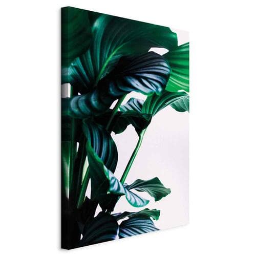 Leinwandbild Sprężyste liście 40×60 cm, Standardleinwand