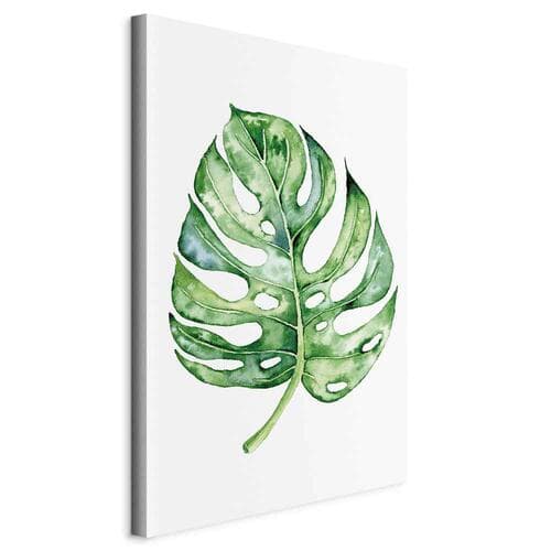 Obraz na płótnie Akwarelowa monstera 80×120 cm, płótno włoskie
