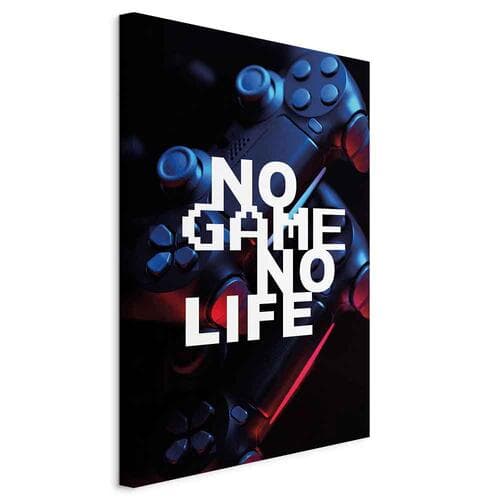 Obraz na płótnie No Game No Life 20×30 cm, płótno standard