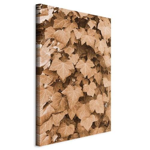 Leinwandbild Jesienny bluszcz 20×30 cm, Standardleinwand