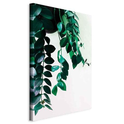 Leinwandbild Korale natury 20×30 cm, Standardleinwand