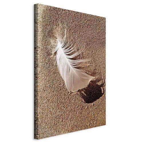 Canvas print Pióro na piasku 20×30 cm, standard canvas