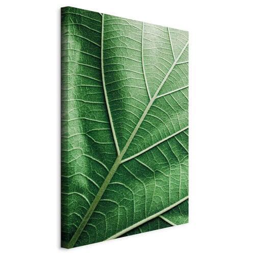 Leinwandbild Malachitowy liść 20×30 cm, Standardleinwand