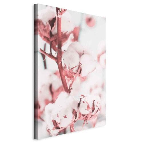 Leinwandbild Bawełna w rozkwicie 20×30 cm, Standardleinwand