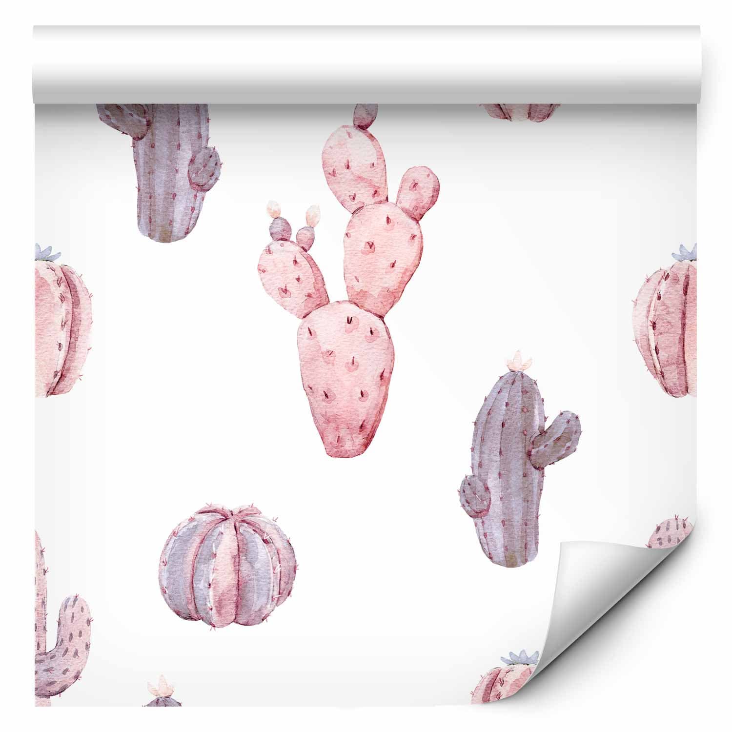 Tapeta Różowe kaktusy 50×1000 cm, flizelina standard