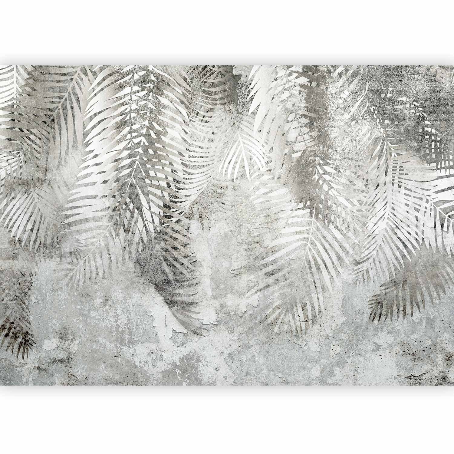 Fototapeta Światło i cień - szaro-biała kompozycja z motywem roślinnym i deseniem 300×210 cm, materiał wodoodporny
