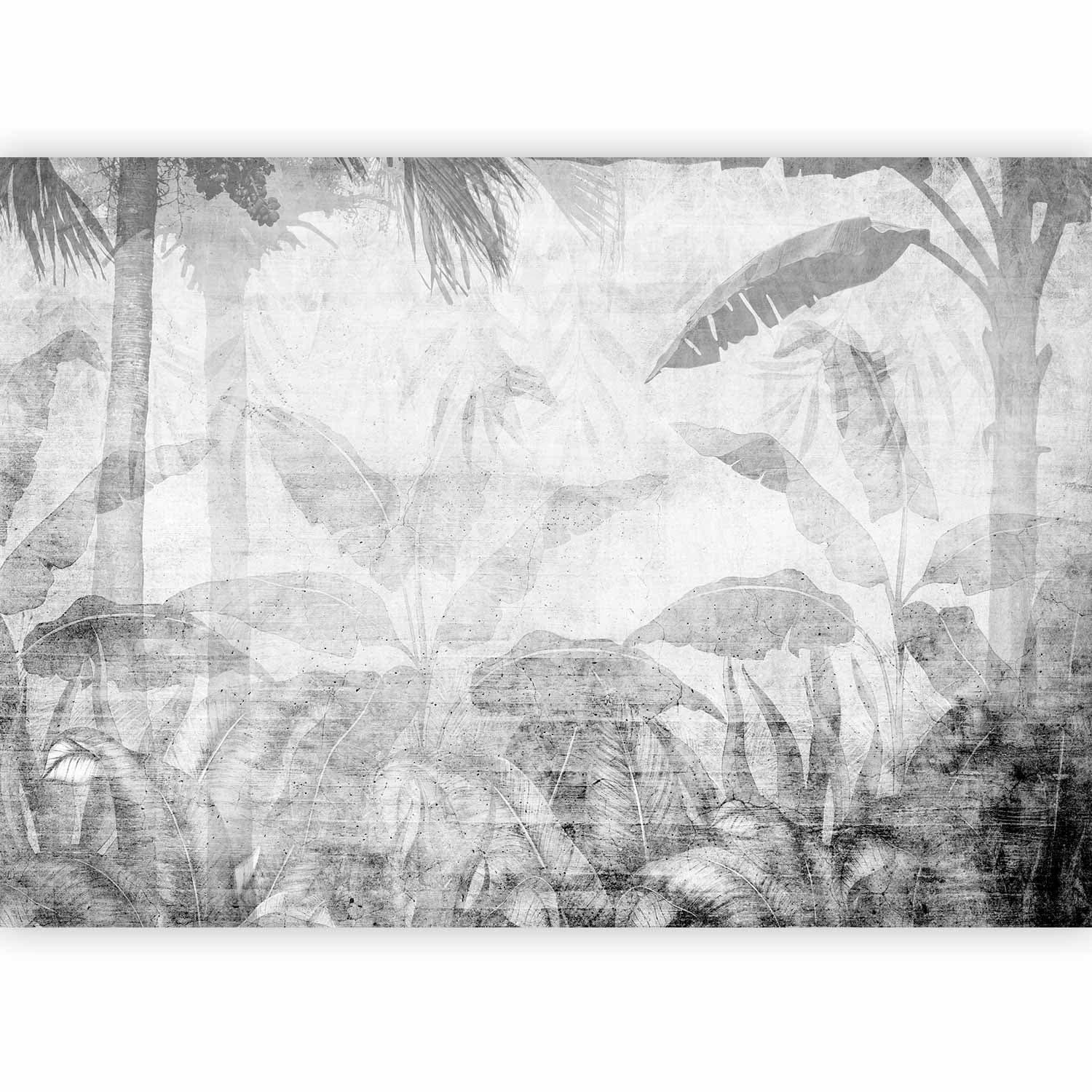 Fototapeta Znikająca dżungla - pejzaż egzotycznych drzew i liści w szarych tonach 100×70 cm, materiał wodoodporny