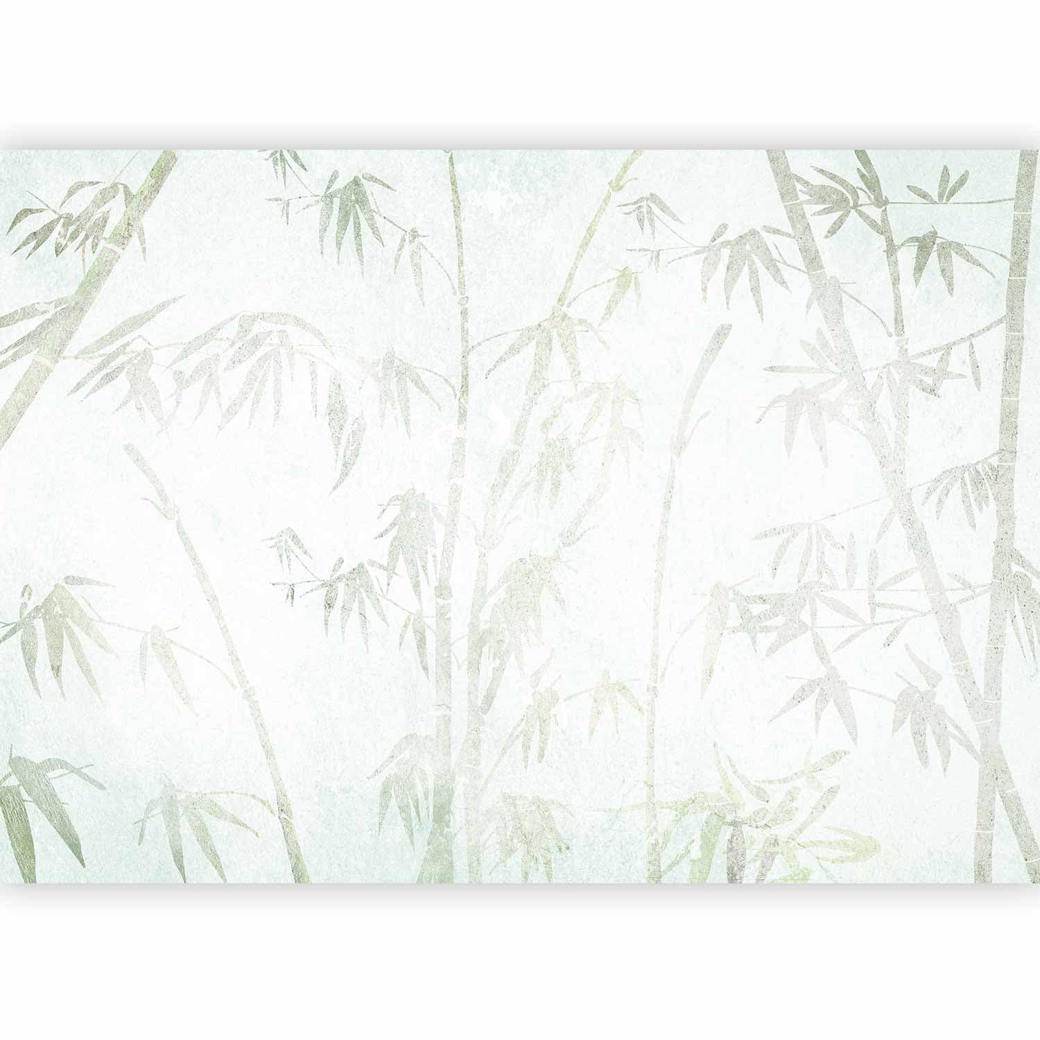 Fototapeta Dżungla w Azji 100×70 cm, materiał wodoodporny