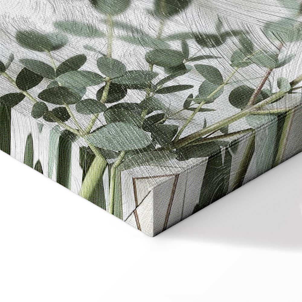 Obraz na płótnie Eukaliptus Parvifolia 80×120 cm, płótno standard