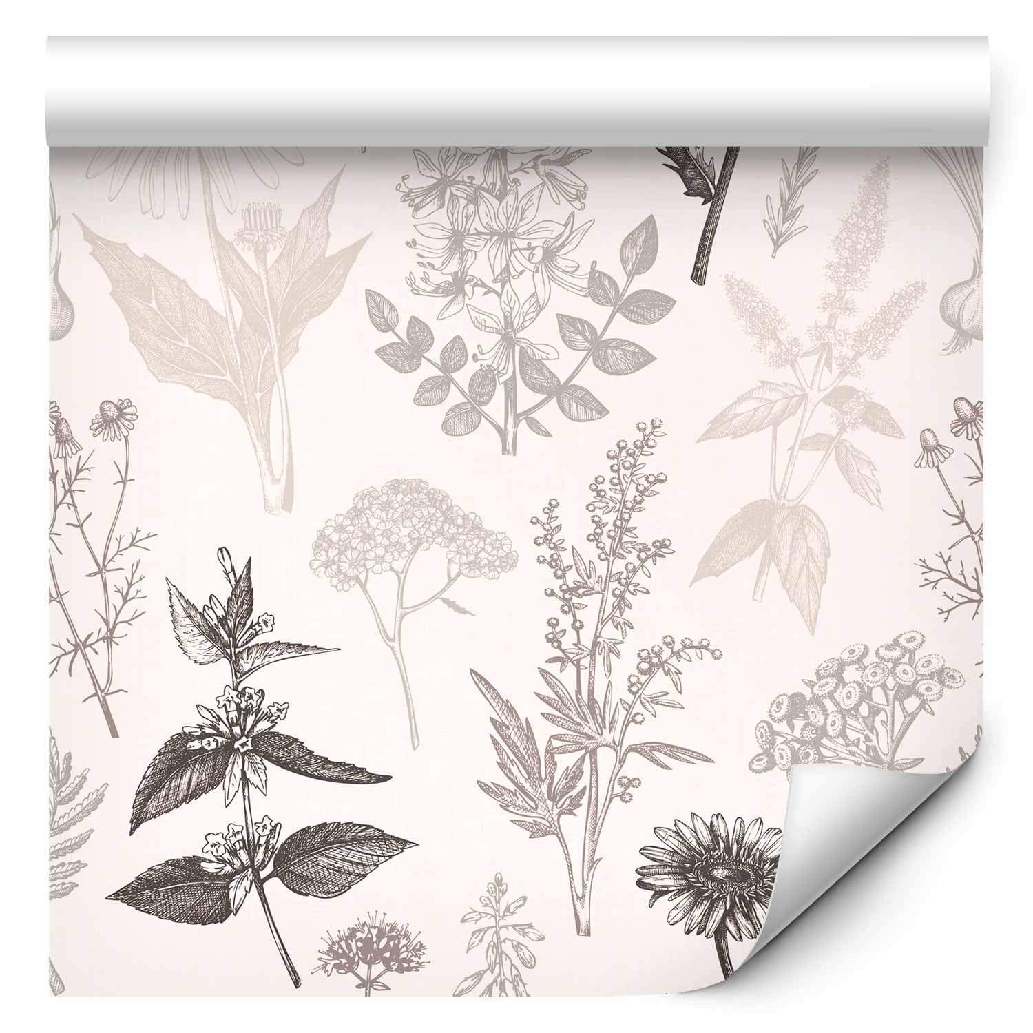 Tapeta Kwiaty i zioła w ciepłych szarościach 50×1000 cm, flizelina standard