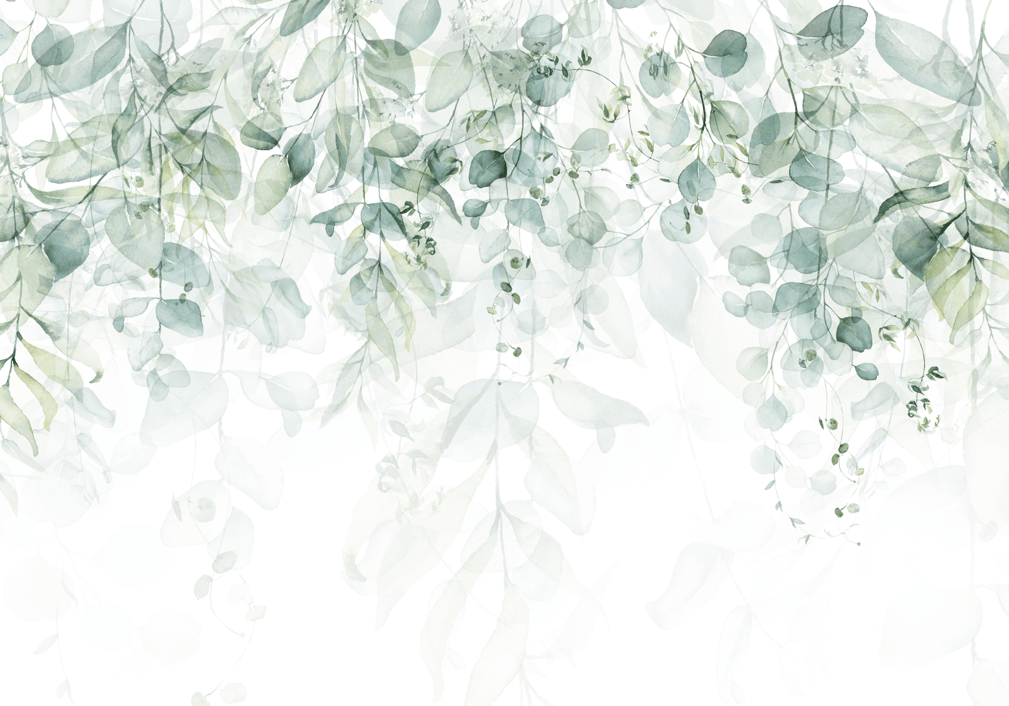 Fototapeta Liście FT-449778 100×100 cm, flizelina standard