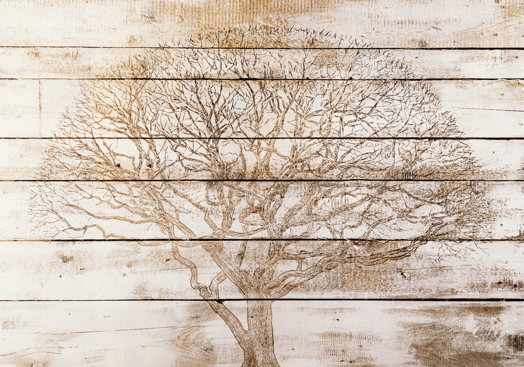 Fototapeta Abstrakcje FT-449780 100×100 cm, flizelina standard