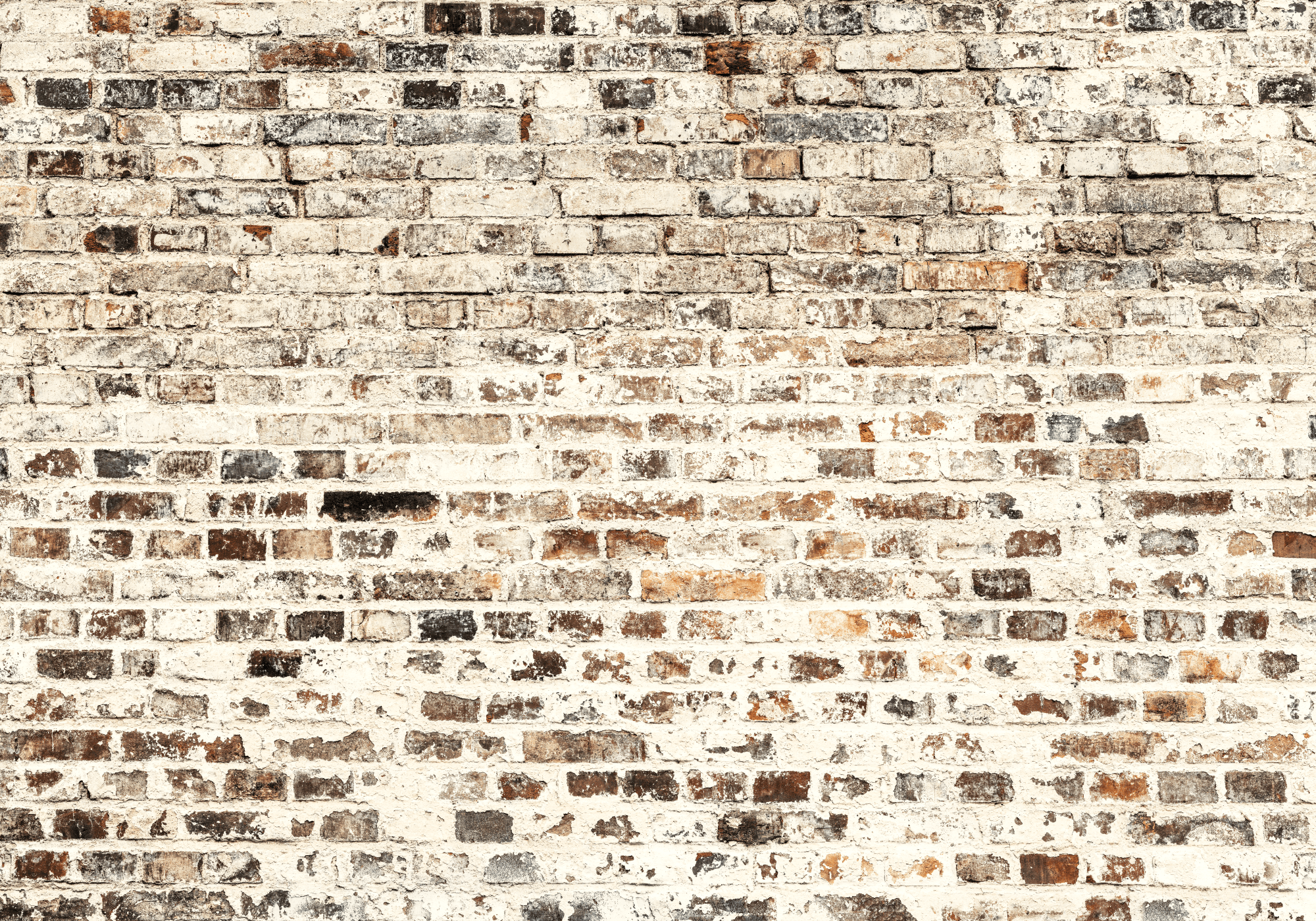 Fototapeta Tła i desenie FT-449810 100×100 cm, flizelina standard