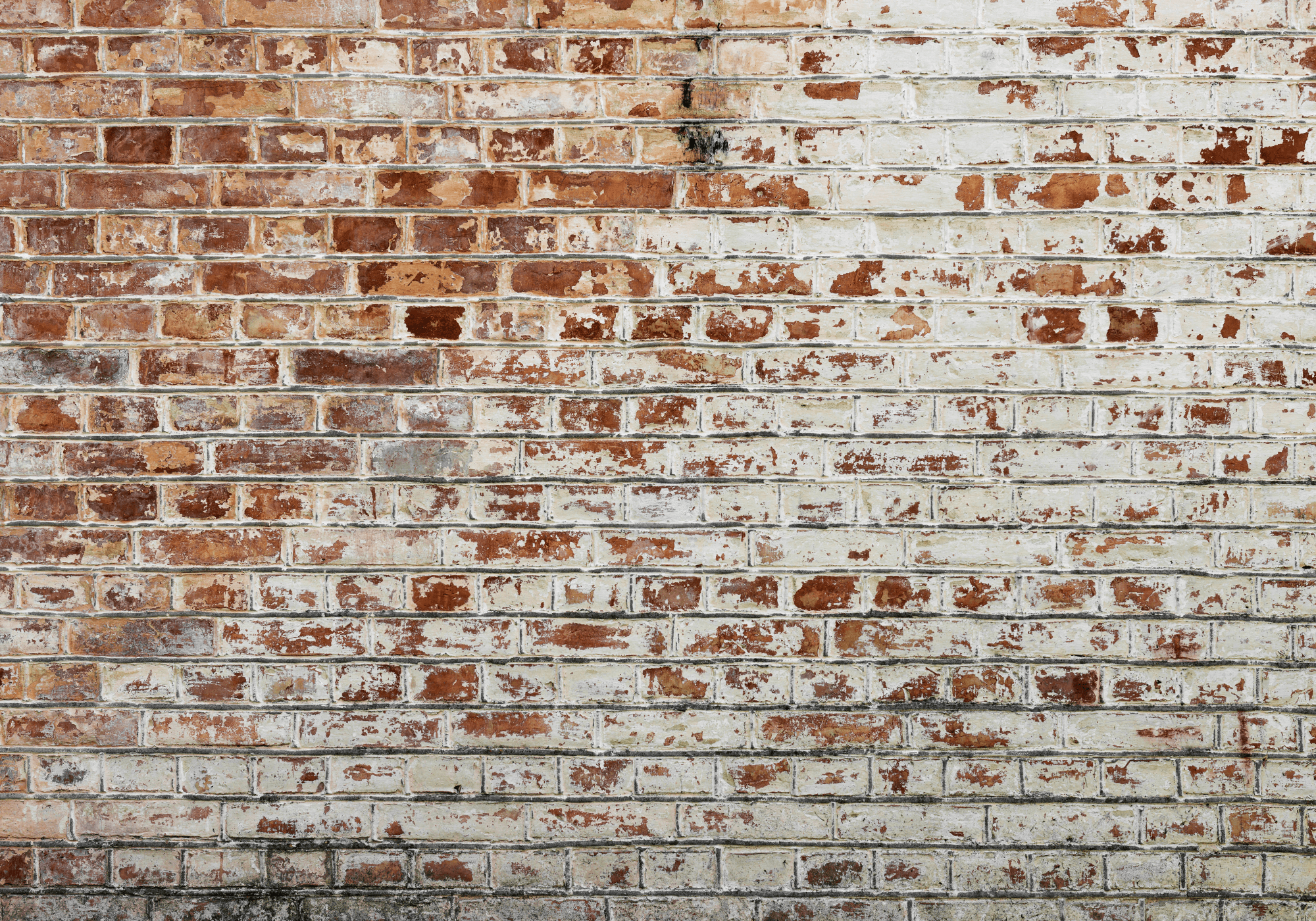 Fototapeta Tła i desenie FT-449828 100×100 cm, flizelina standard