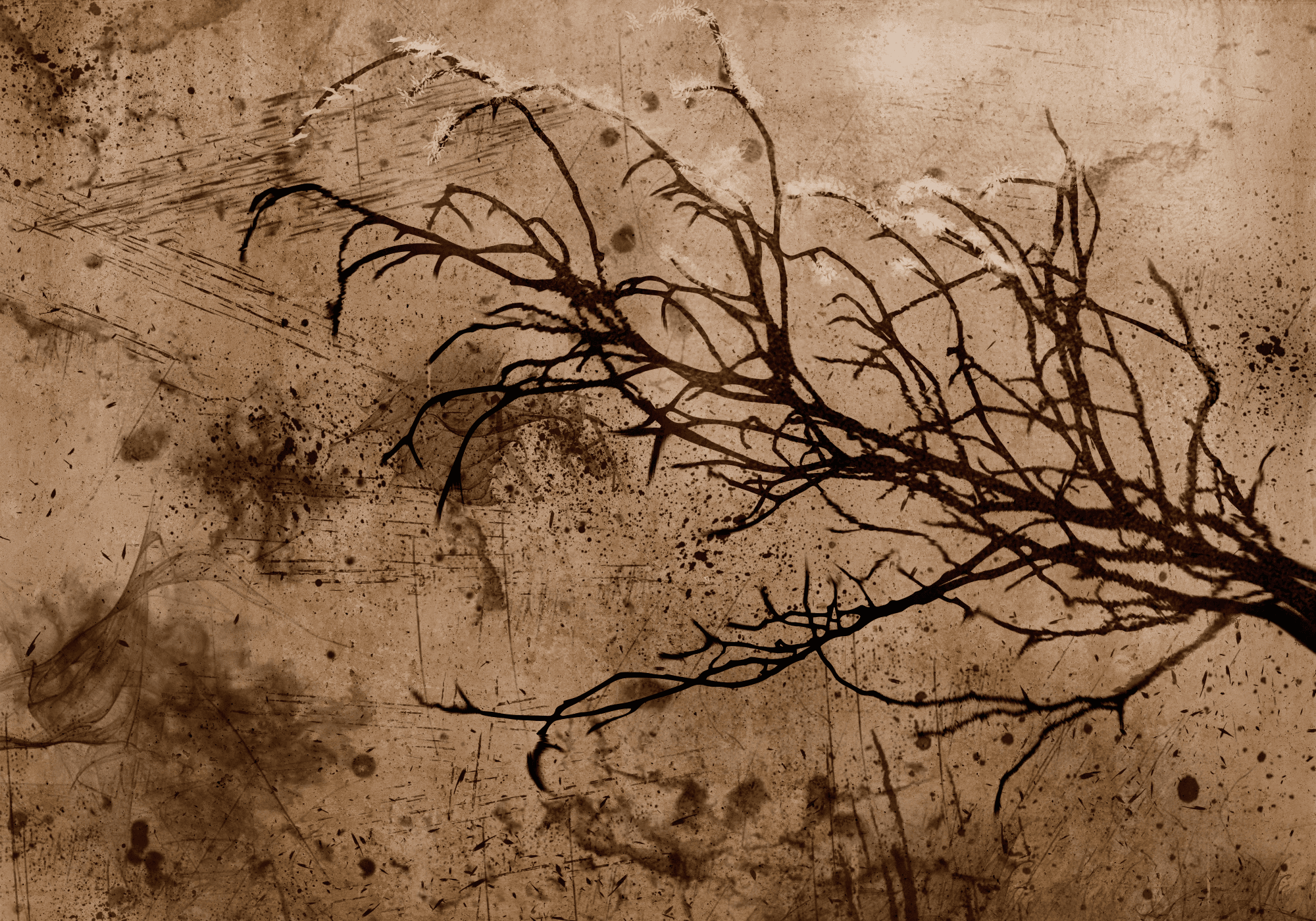 Fototapeta Abstrakcje FT-450020 100×100 cm, flizelina standard