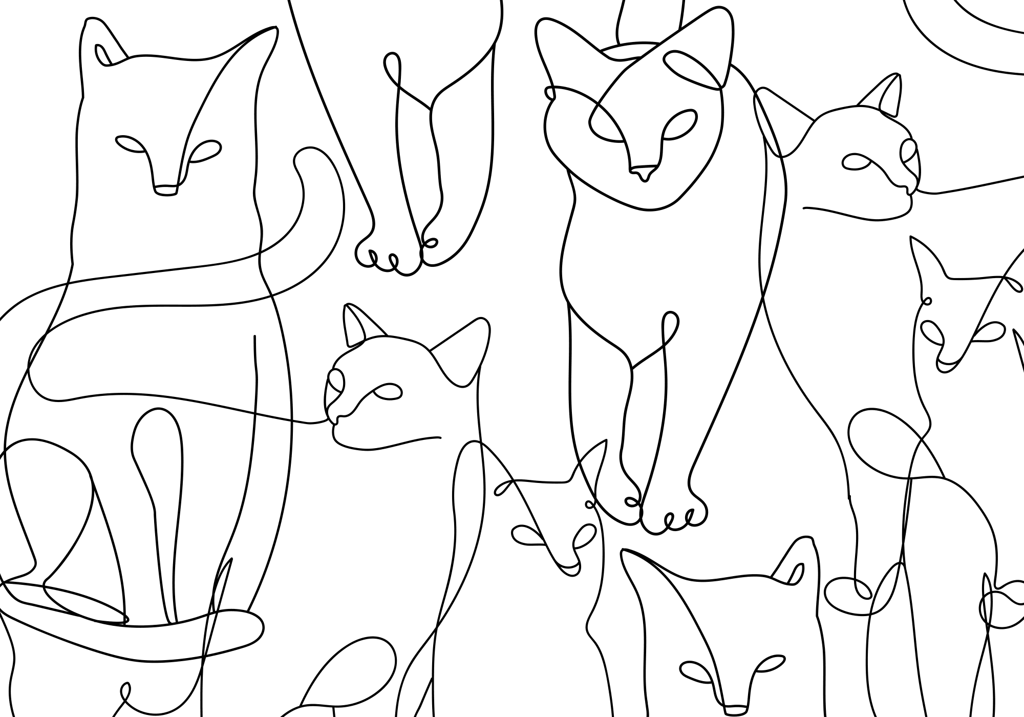 Fototapeta Koci lineart - minimalistyczne szkice czarnych kotów na białym tle 450x315 cm flizelina premium