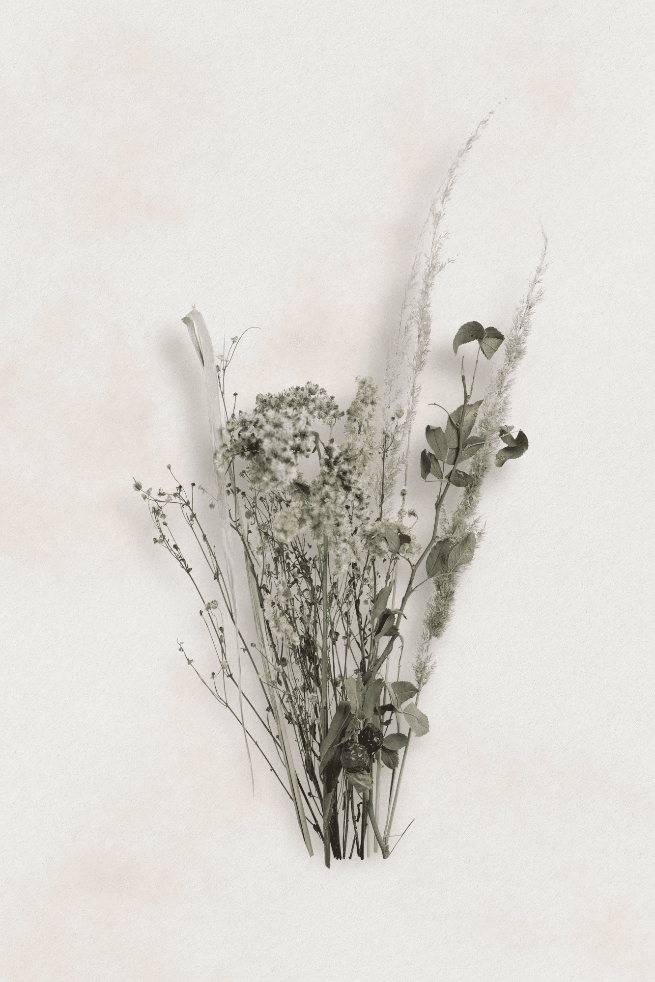 Leinwandbild Jesienny bukiet 40×60 cm, Standardleinwand