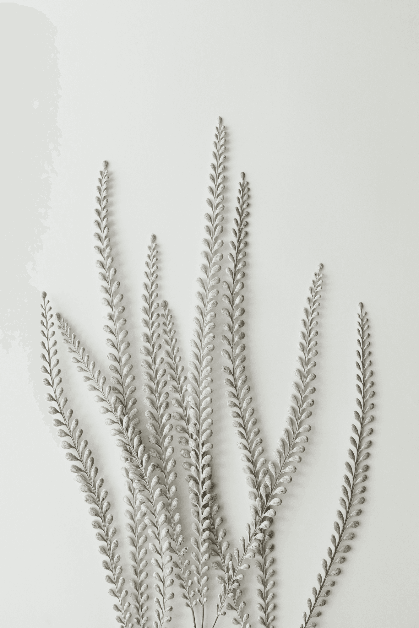 Leinwandbild Roślinna miriada 60×90 cm, Standardleinwand