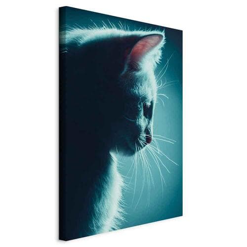 Obraz na płótnie Nocny włóczęga 20×30 cm, płótno włoskie