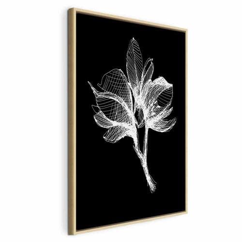 Leinwandbild Nocny kwiat 40×60 cm, Standardleinwand