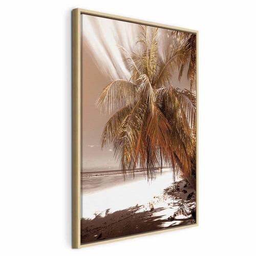 Canvas print Palmowy cień 40×60 cm, standard canvas