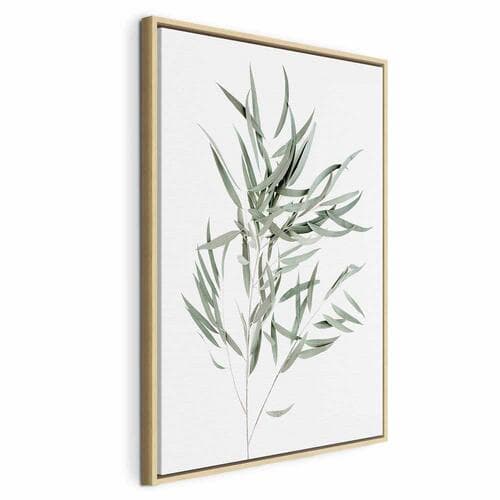 Картина на холсте Eukaliptus Nicholii 40×60 см, стандартный холст