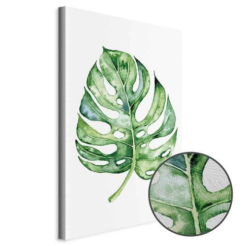 Leinwandbild Akwarelowa monstera 20×30 cm, Standardleinwand