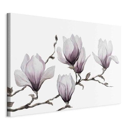 Obraz na płótnie Malowane magnolie szeroki 60×40 cm, płótno włoskie