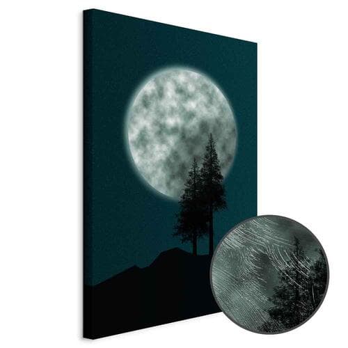 Canvas print Piękna pełnia księżyca 60×90 cm, standard canvas