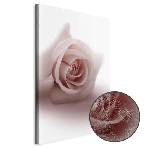 Canvas print Kwiatowy blask glamour - delikatna i pastelowa róża 40×60 cm, standard canvas