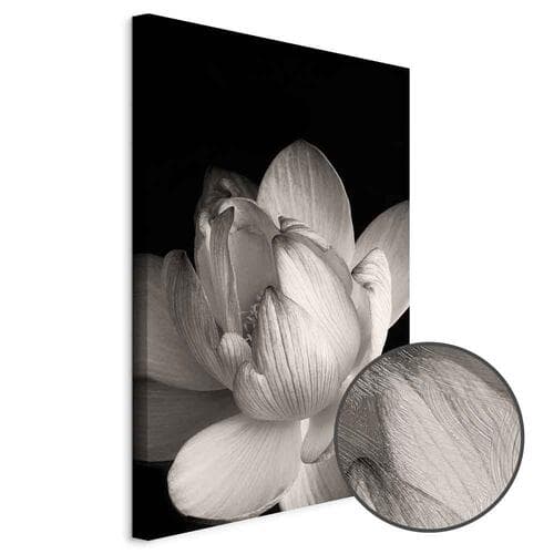 Obraz na płótnie Delikatność płatków w naturze - kwiat w czerni i bieli 60×90 cm, płótno standard