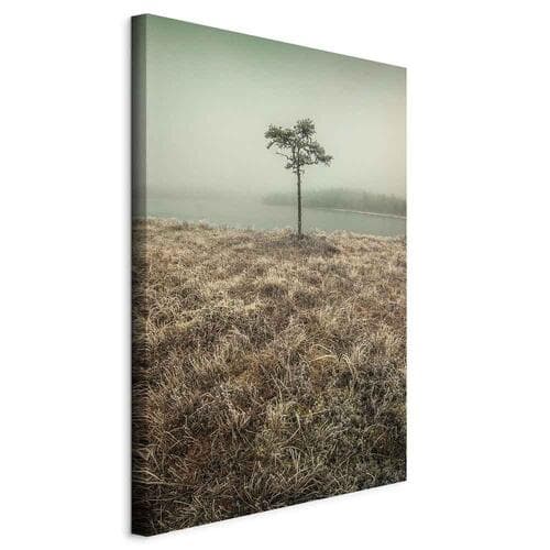 Canvas print Nad brzegiem jeziora 40×60 cm, standard canvas