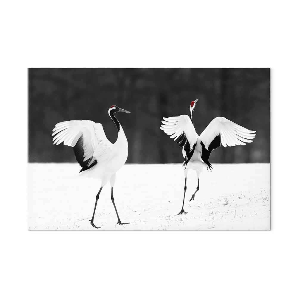 Canvas print Tańczące żurawie szeroki 30×20 cm, standard canvas