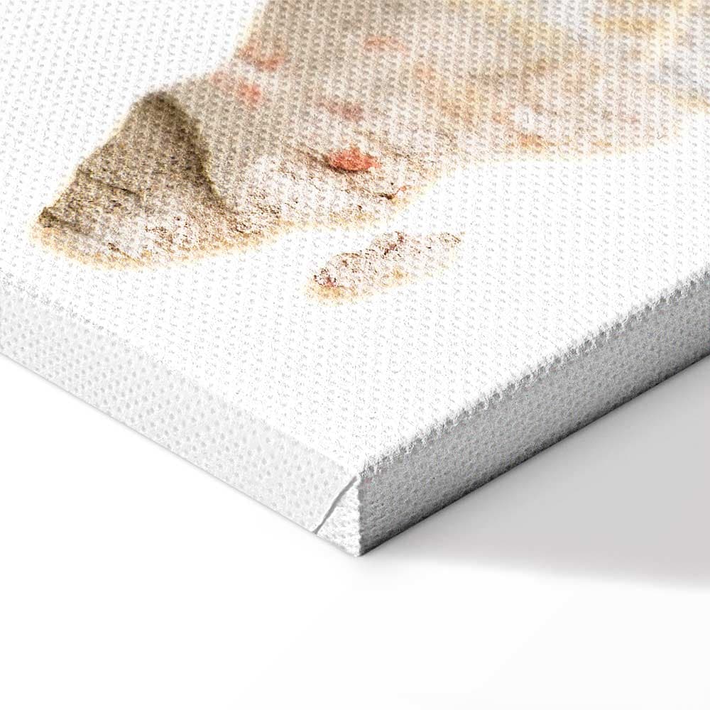Картина на холсте Gorący kontynent 20×30 см, стандартный холст