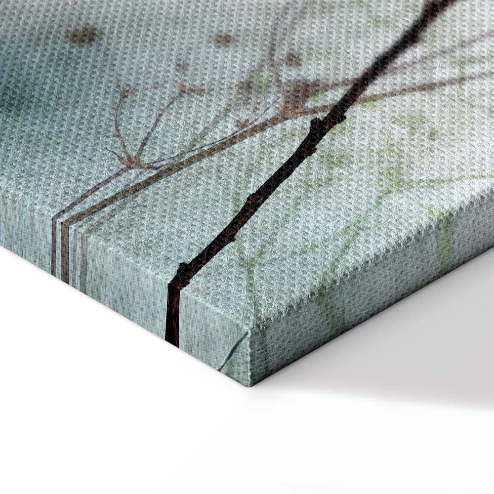 Obraz na płótnie Mglista lunaria 20×30 cm, płótno standard