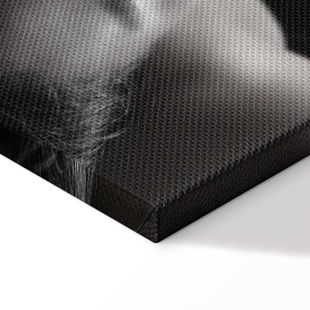 Canvas print Chmura dymu 20×30 cm, standard canvas