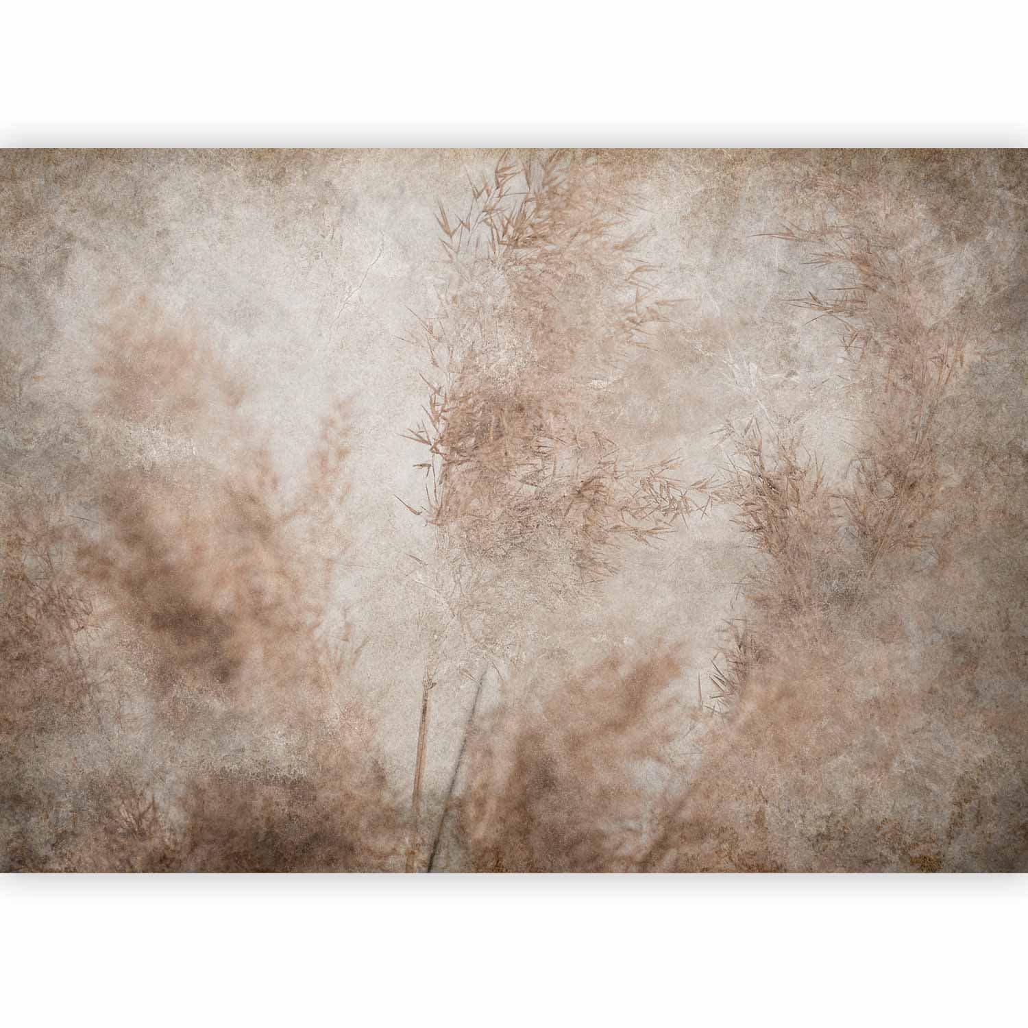 Fototapeta Zmącone wiatrem 200x140 cm