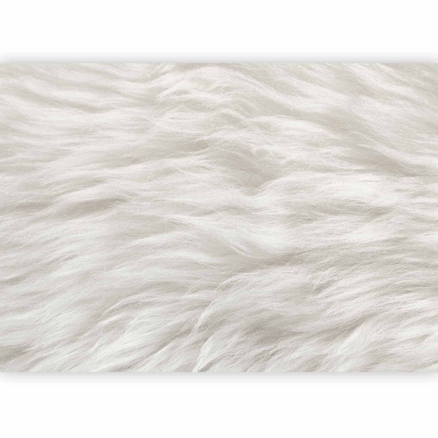 Фотообои Naturalna delikatność - pierwszy wariant 100×70 см, влагостойкий материал