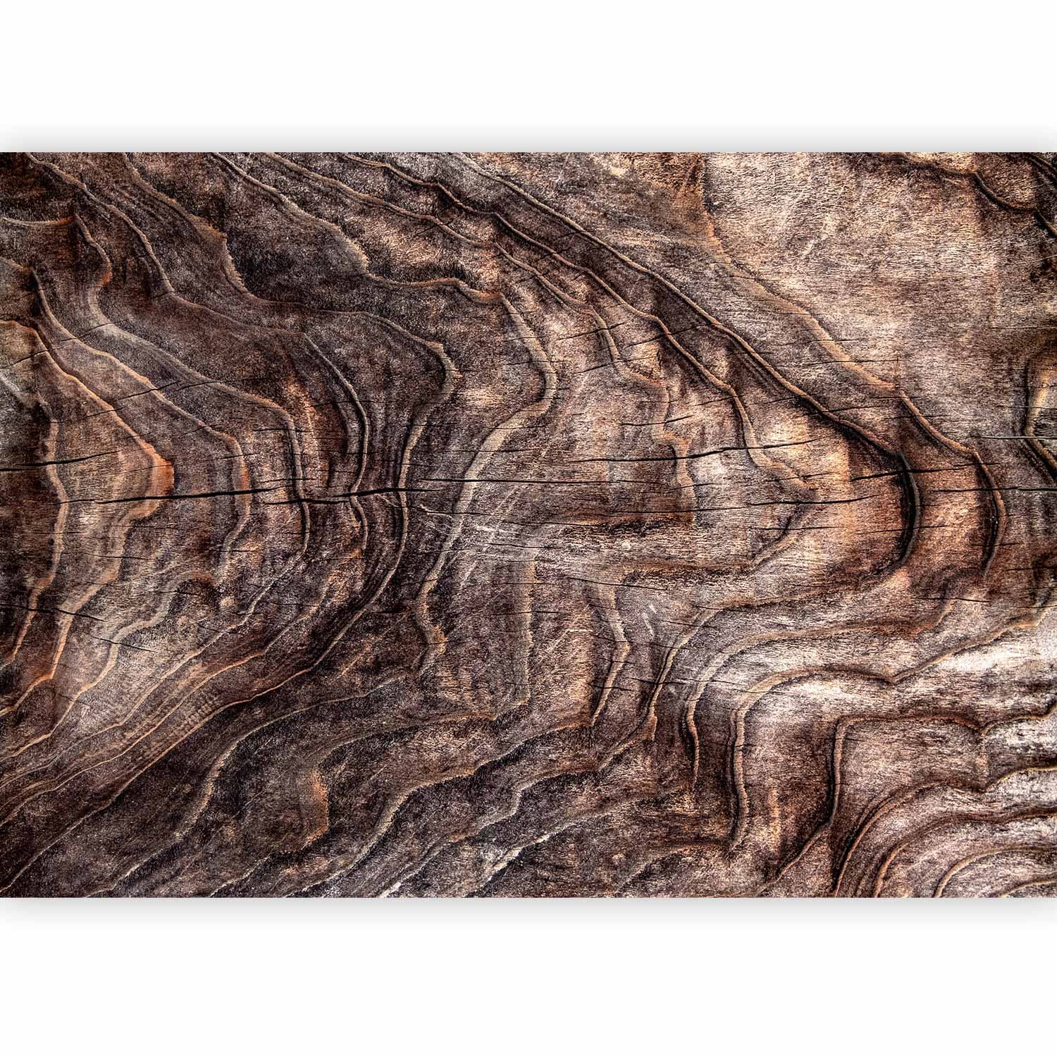 Wall mural Znaki czasu - abstrakcyjne tło z pomarszczoną korą starego drzewa 400×280 cm, waterproof material