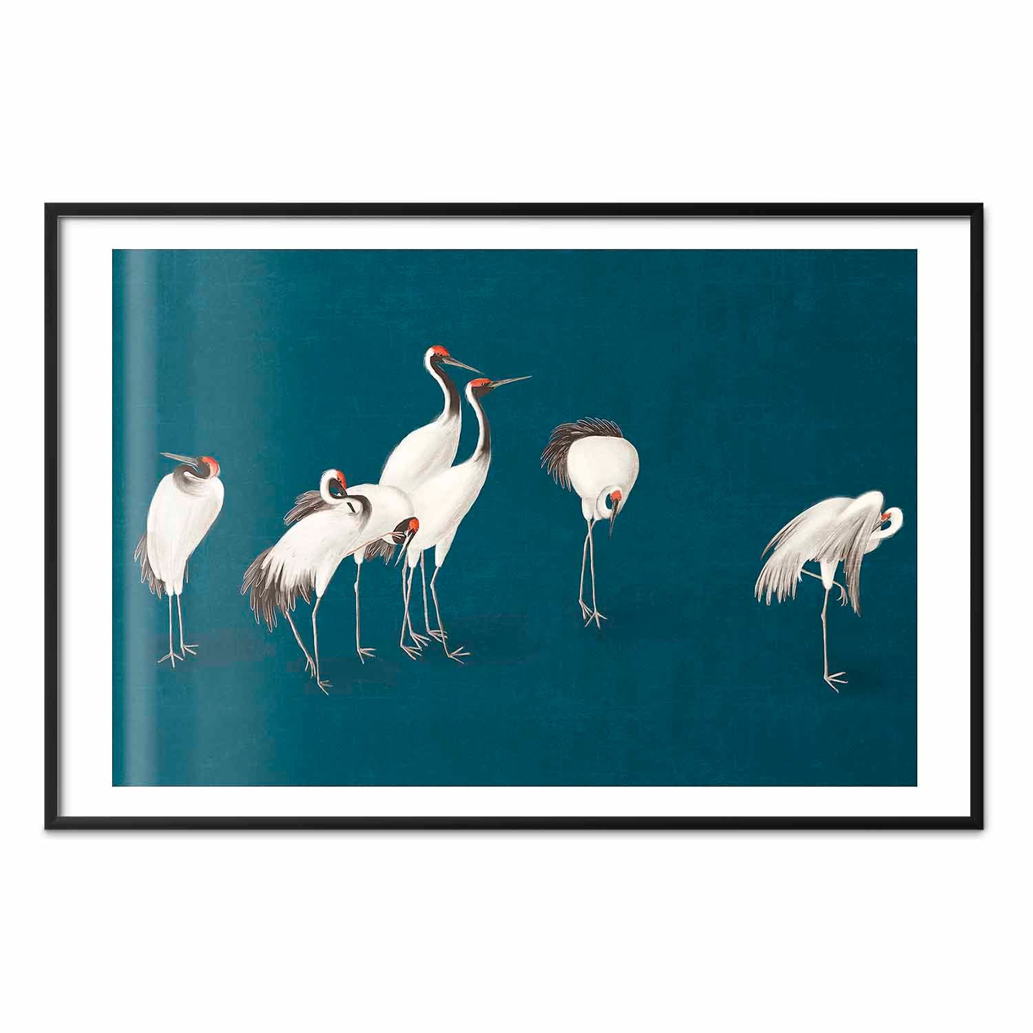 Poster Wieczór nad stawem - grupa żurawi narysowana suchą pastelą; na ciemno-turkusowym tle 90×60 cm