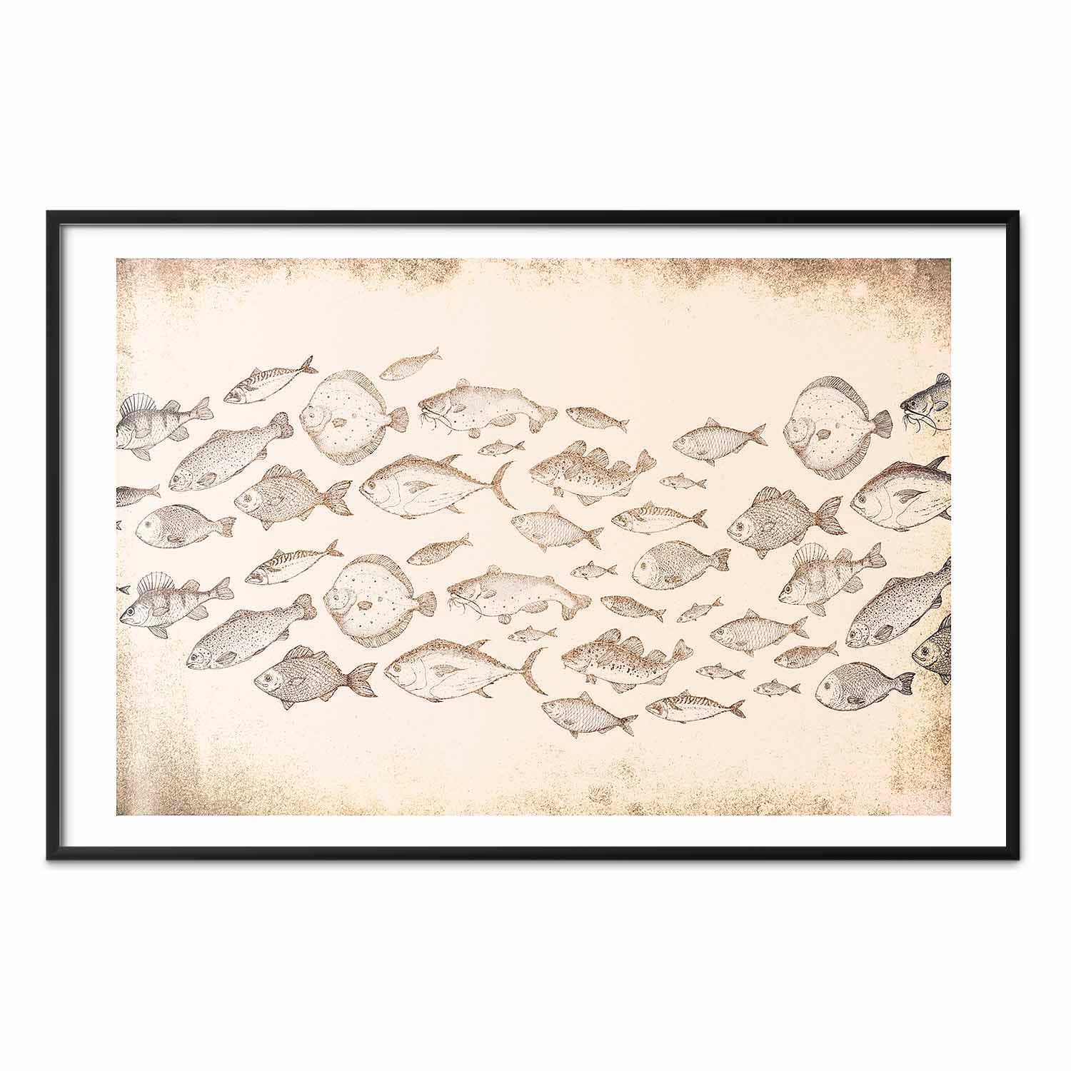 Plakat Subtelne rybki 60×40 cm