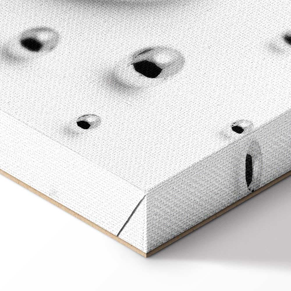 Leinwandbild Zaklęte w mrozie 80×120 cm, Standardleinwand