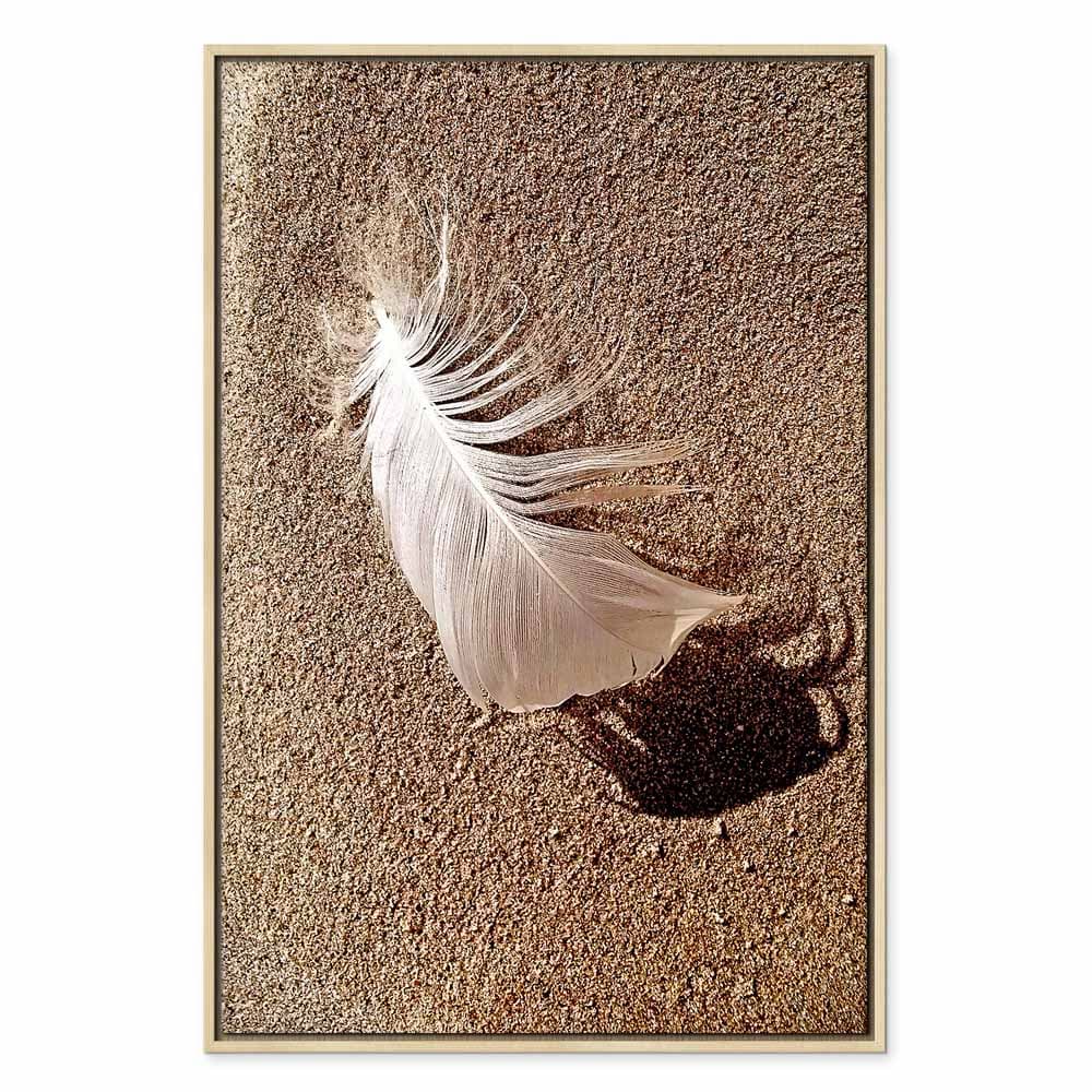 Canvas print Pióro na piasku 40×60 cm, standard canvas