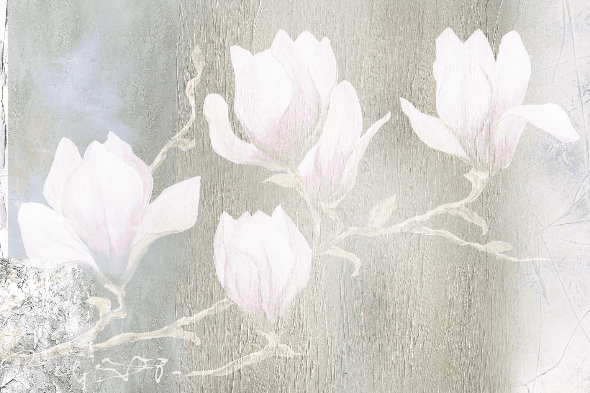 Картина на полотні Białe magnolie szeroki 90×60 см, стандартне полотно