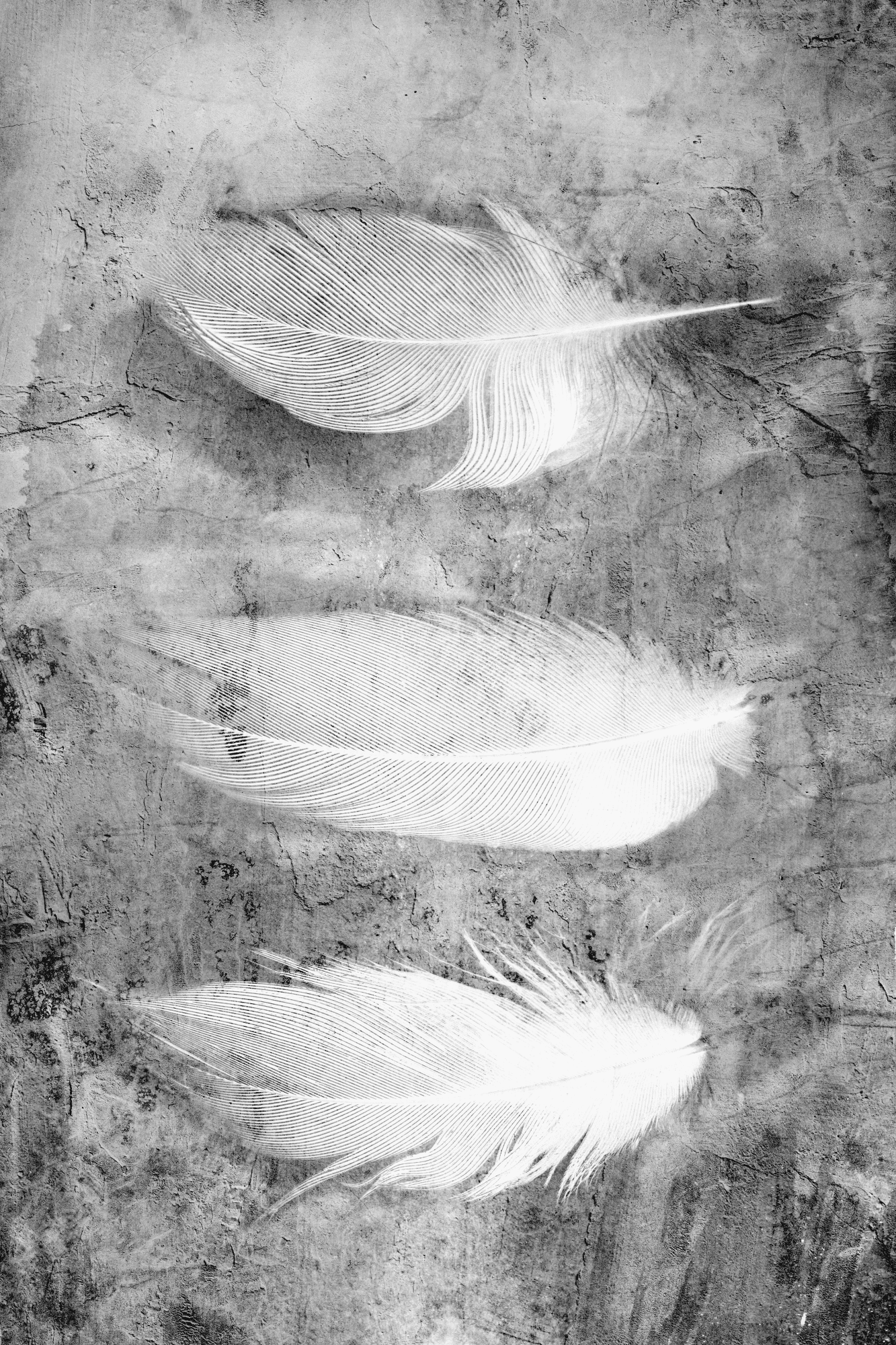 Obraz na płótnie Ulotna tajemnica 40×60 cm, płótno standard