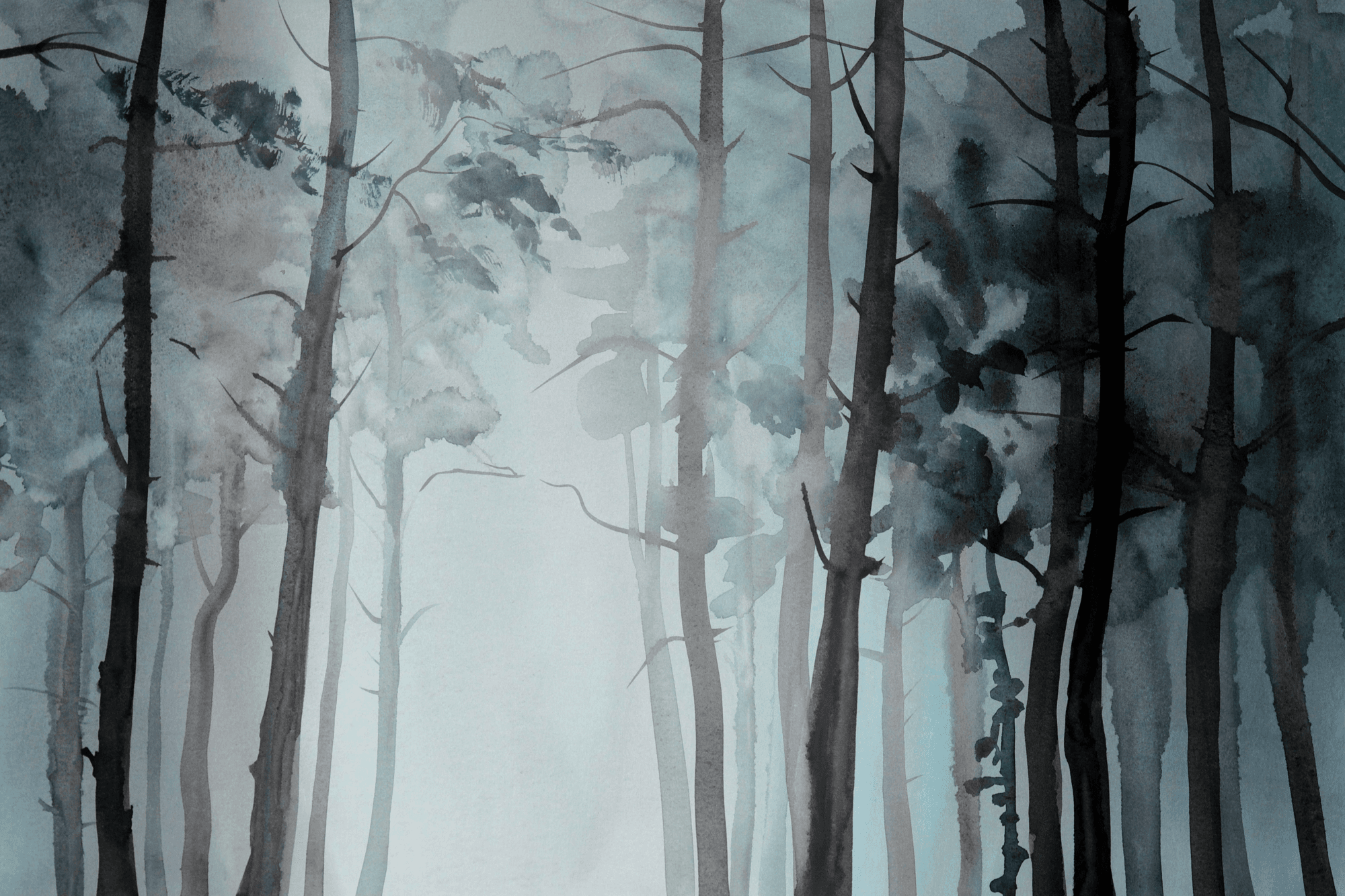 Canvas print Zamglony las szeroki 90×60 cm, standard canvas