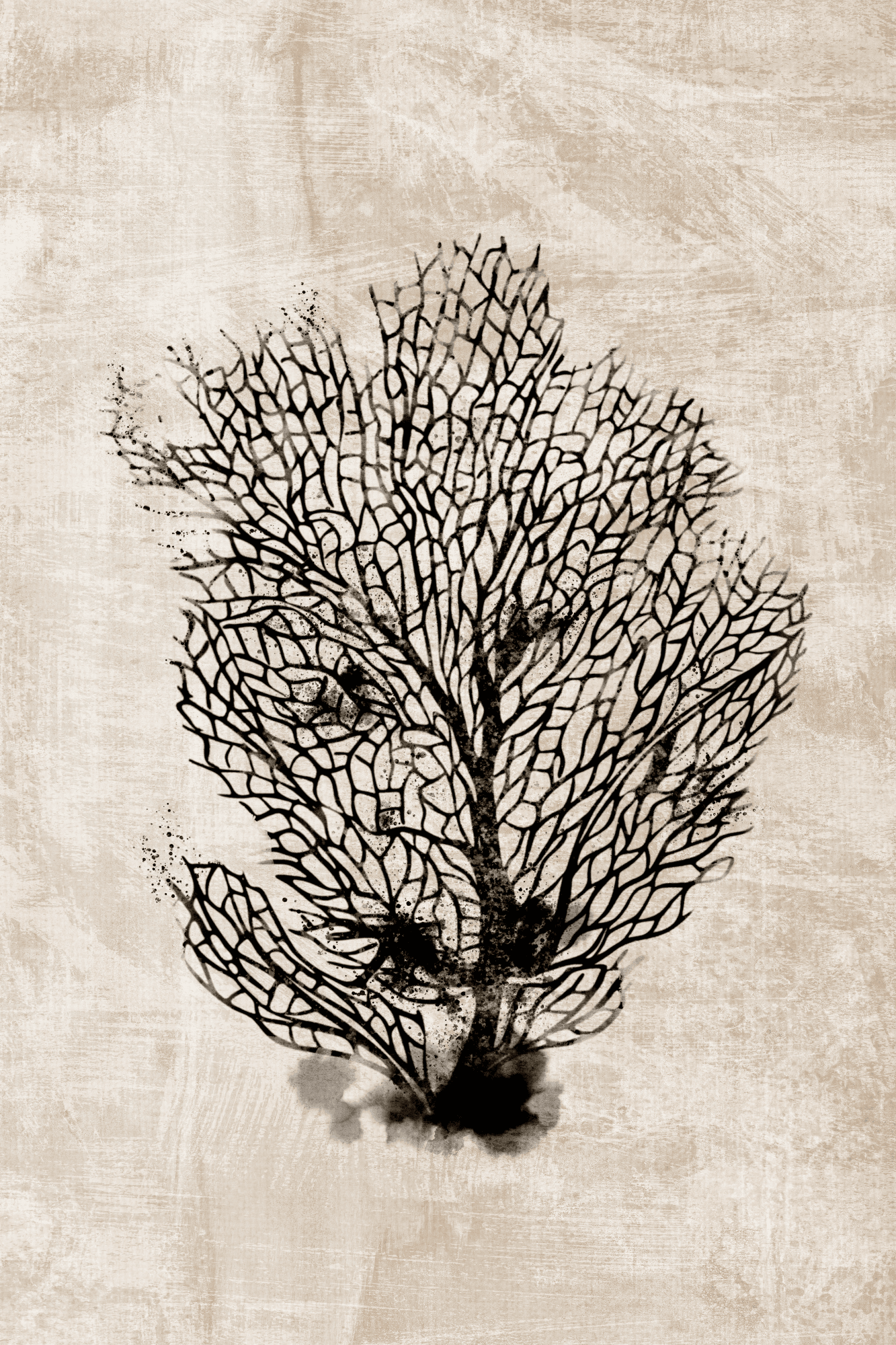 Canvas print Morski wachlarz 40×60 cm, standard canvas